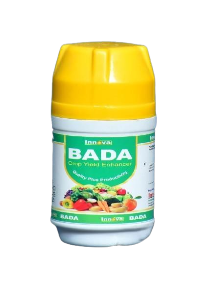 BADA