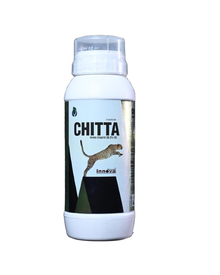 CHITTA