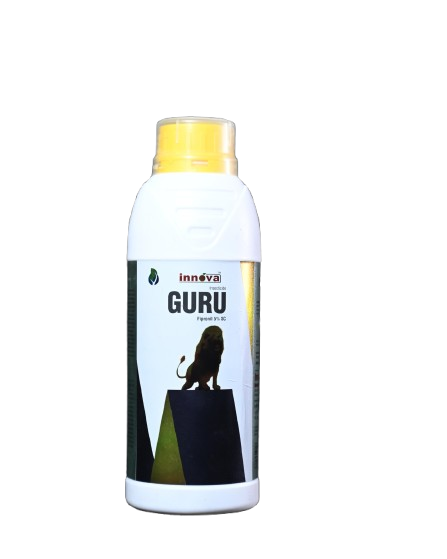 GURU