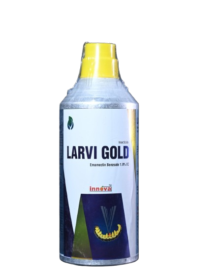 LARVI GOLD
