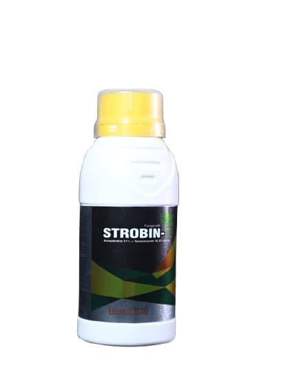 STROBIN-T
