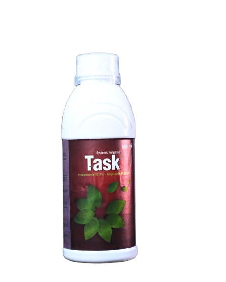 TASK