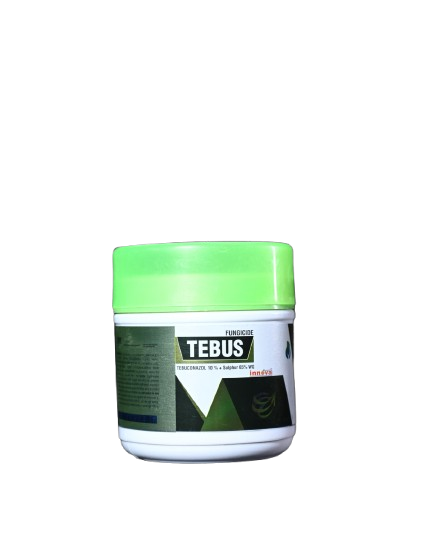 TEBUS
