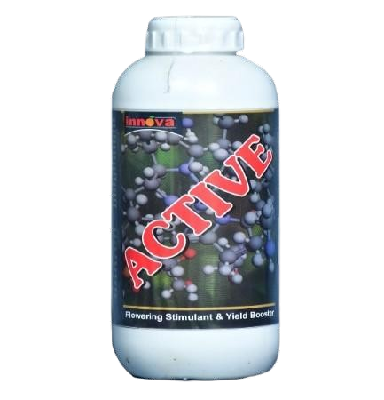 ACTIVE